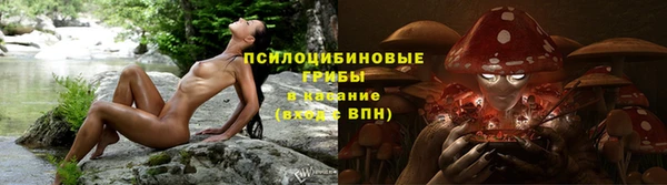 мескалин Алексин