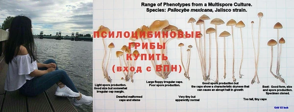 круглые Алексеевка