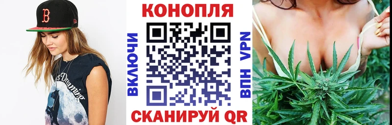 Канабис сатива Апрелевка